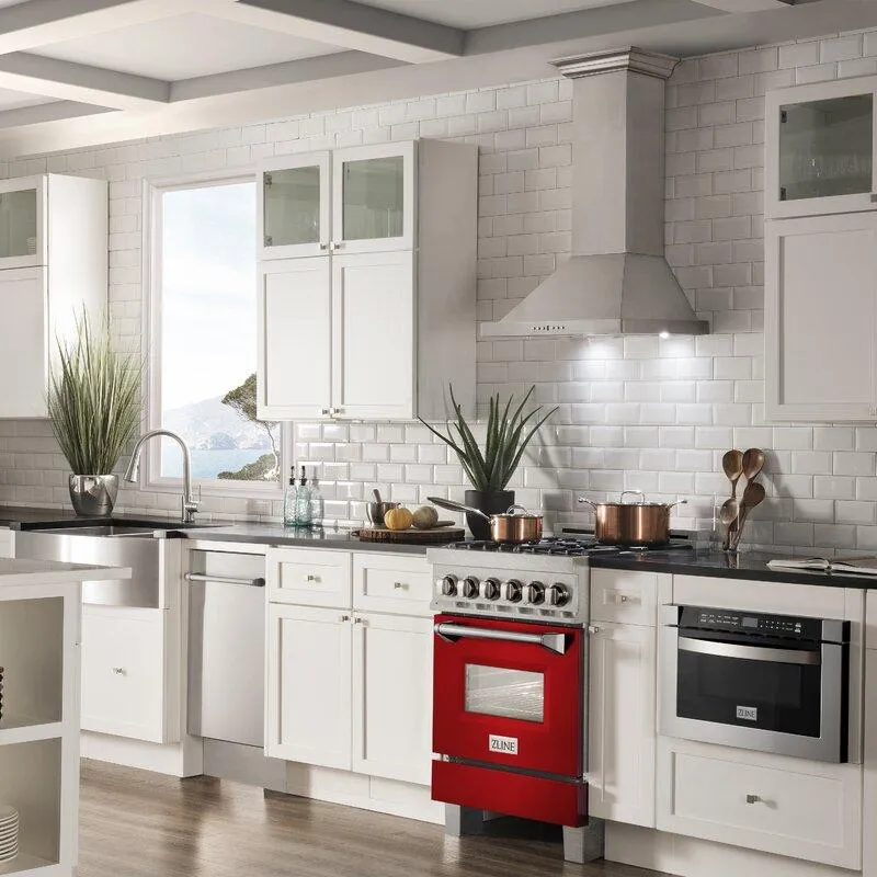 ZLINE 24 in. Professional Dual Fuel Range in DuraSnow® Stainless Steel with Red Gloss Door (RAS-RG-24)